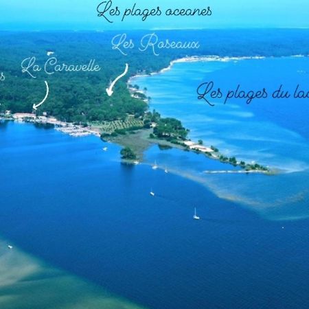 Studio Mansarde Climatise Les Roseaux Bord De Lac Biscarrosse Eksteriør bilde