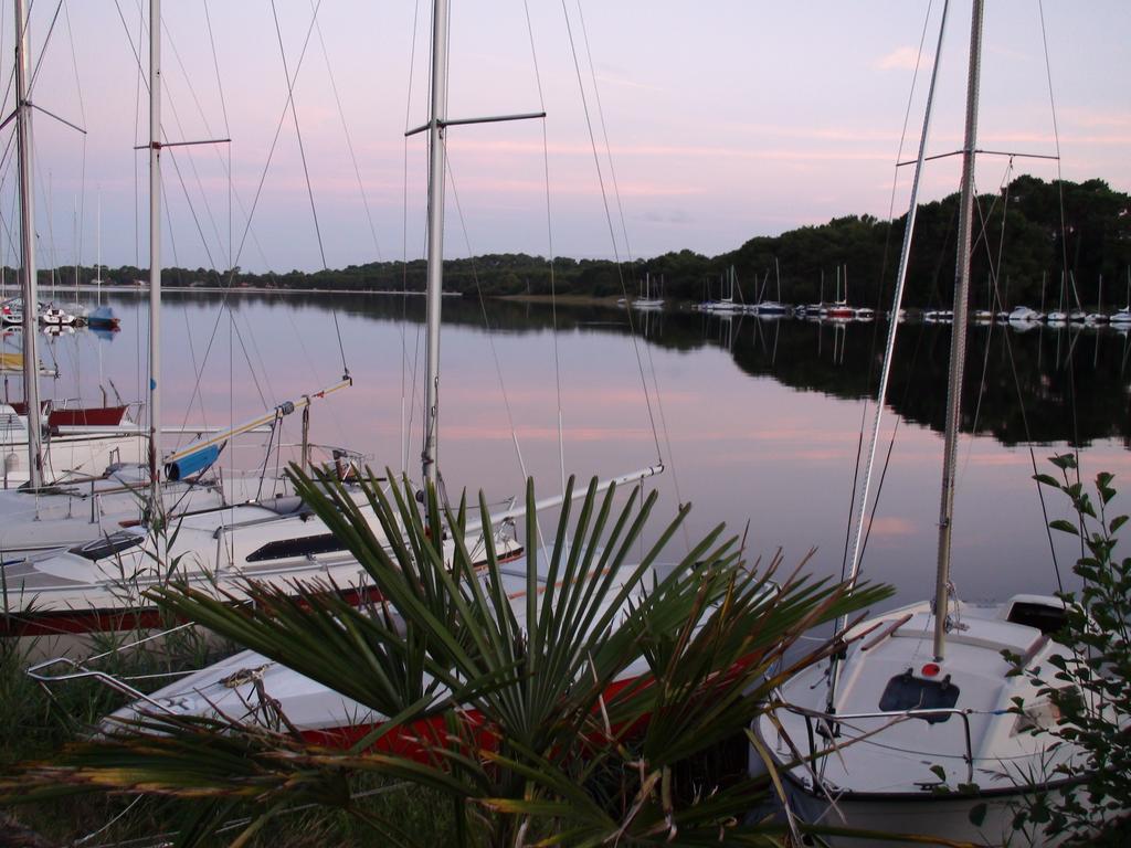 Studio Mansarde Climatise Les Roseaux Bord De Lac Biscarrosse Eksteriør bilde