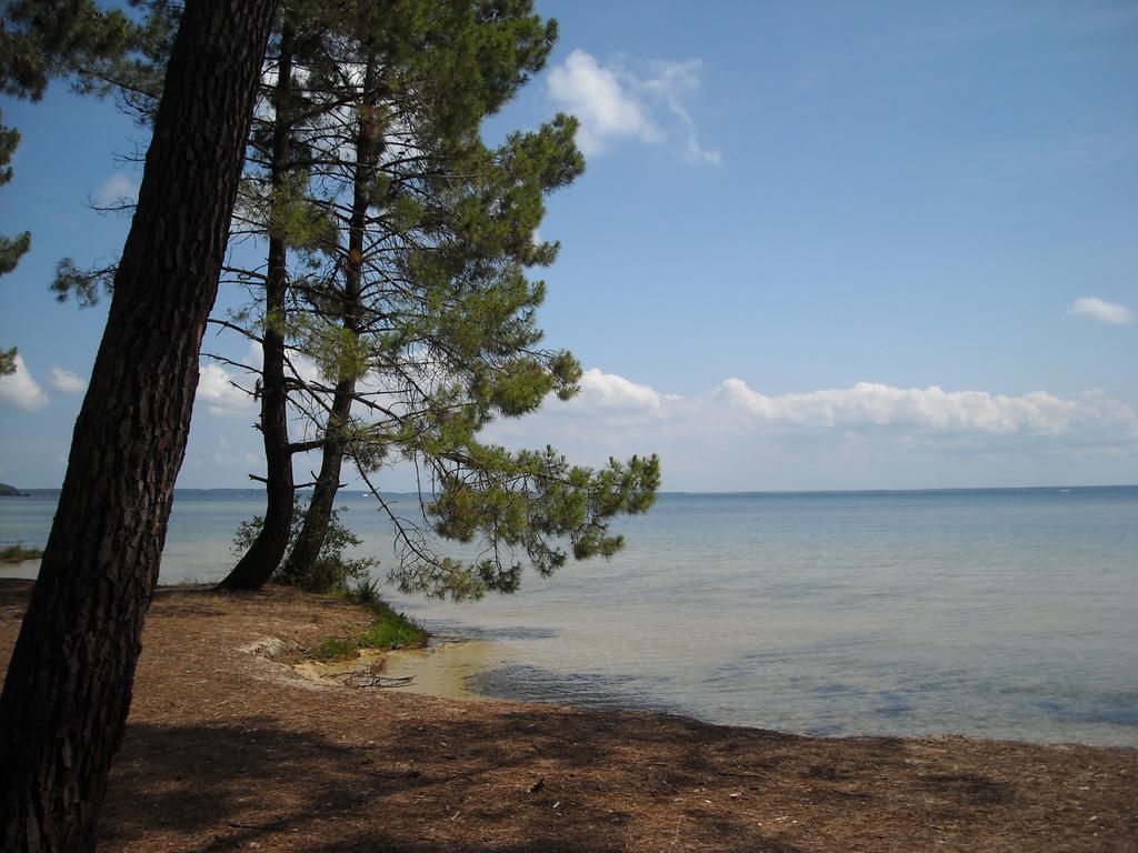 Studio Mansarde Climatise Les Roseaux Bord De Lac Biscarrosse Eksteriør bilde