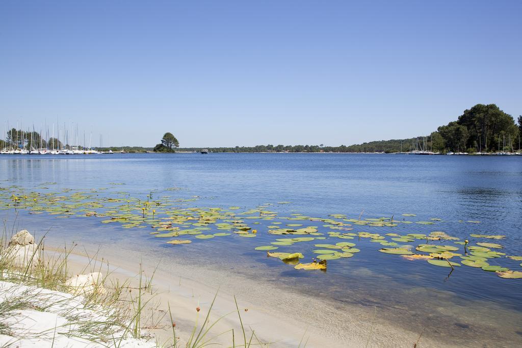 Studio Mansarde Climatise Les Roseaux Bord De Lac Biscarrosse Eksteriør bilde