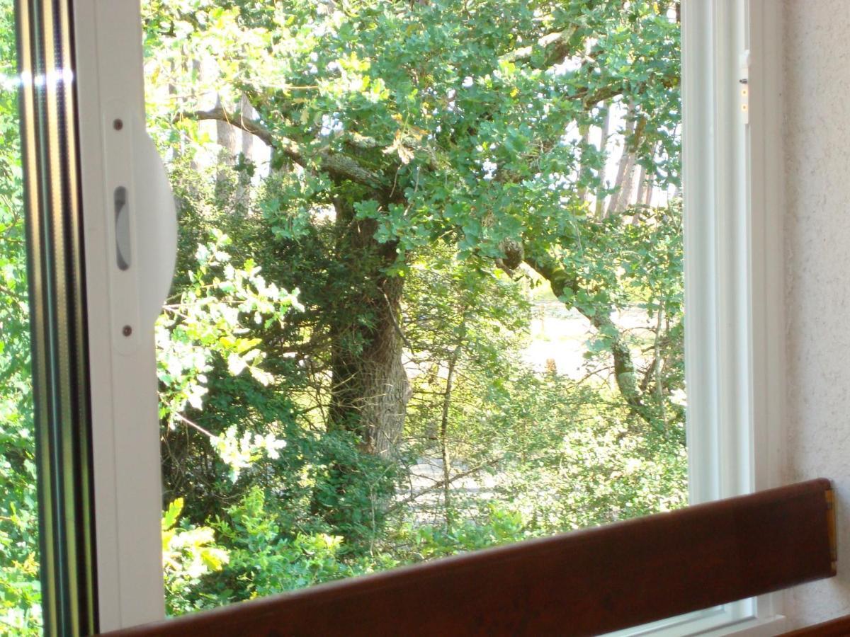 Studio Mansarde Climatise Les Roseaux Bord De Lac Biscarrosse Rom bilde